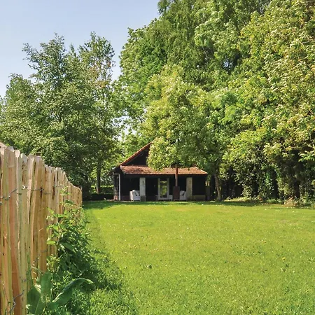 Lovely In With Wifi Leende